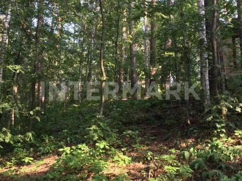 КП "Горки-2" Рублево-Успенское шоссе, 15 км, Фото 1