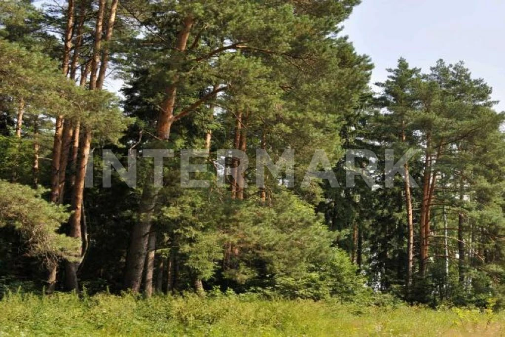  КП "Бенилюкс" Новорижское шоссе, 19 км, Фото 1