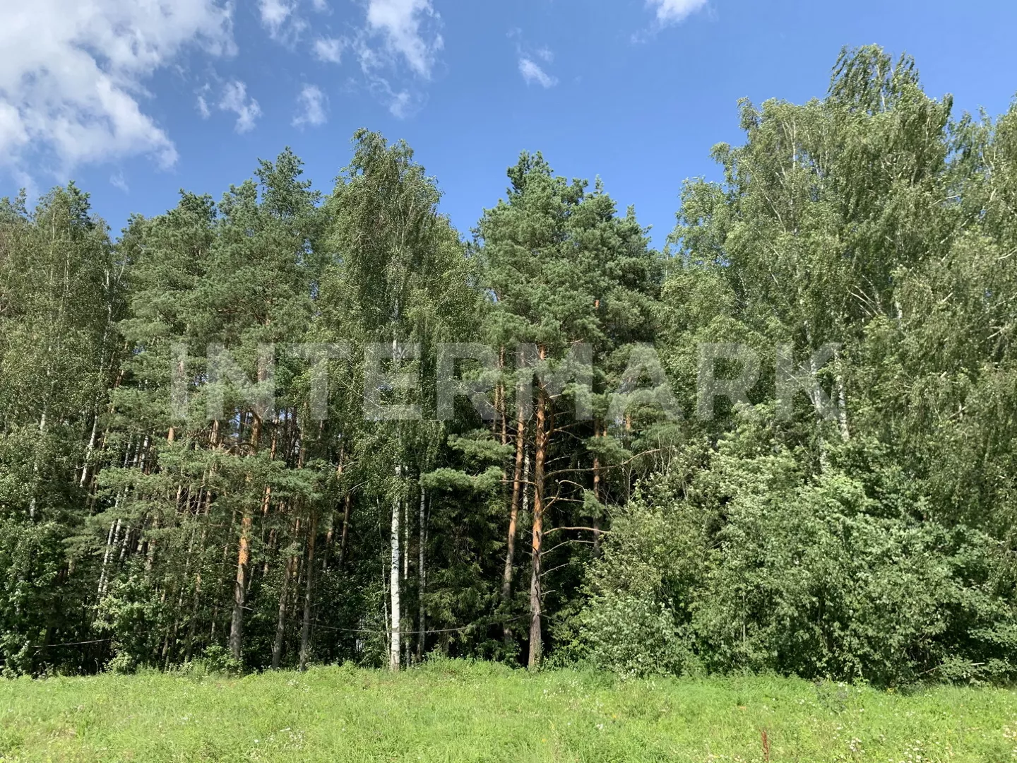  КП "Новое Николино " Рублево-Успенское шоссе, 23 км, Фото 1