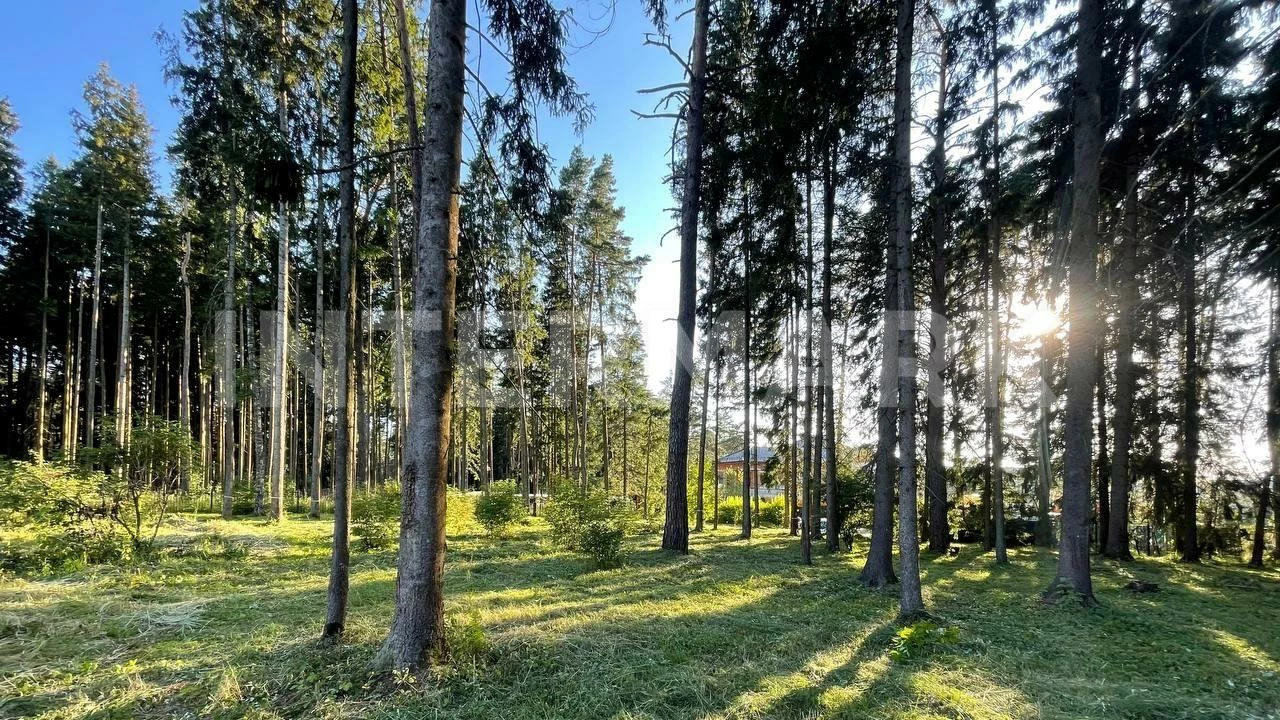   "Renaissance park" Novorizhskoe, 19 км, Photo 1