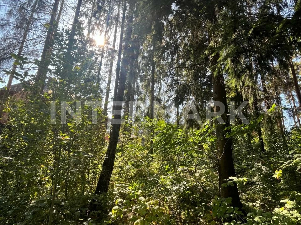  КП "Липка" Новорижское шоссе, 10 км, Фото 1