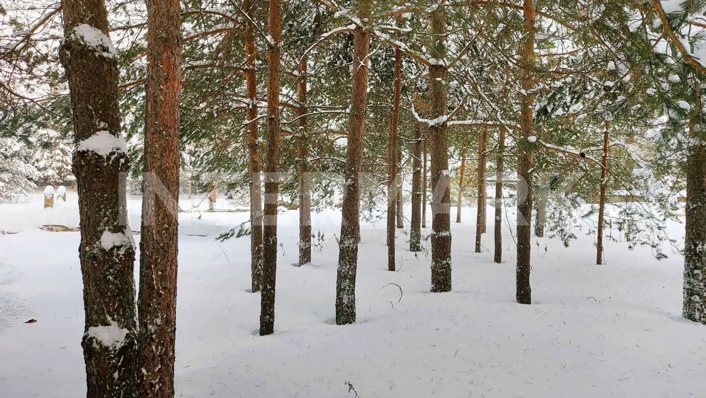  КП "Красновидово-2" Новорижское шоссе, 32 км, Фото 1