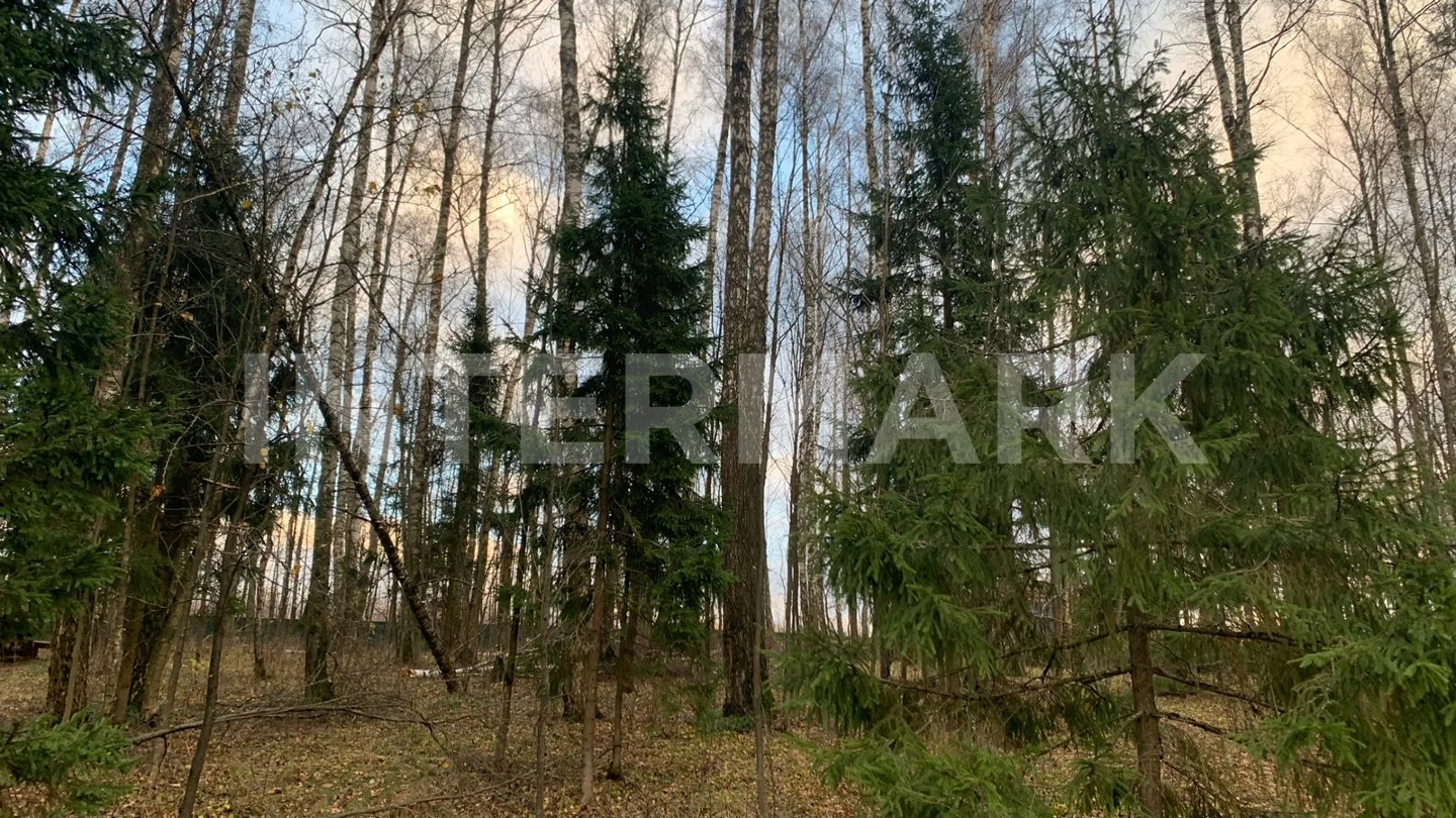   "Lesnye Zori" Novorizhskoe, 22 км, Photo 1