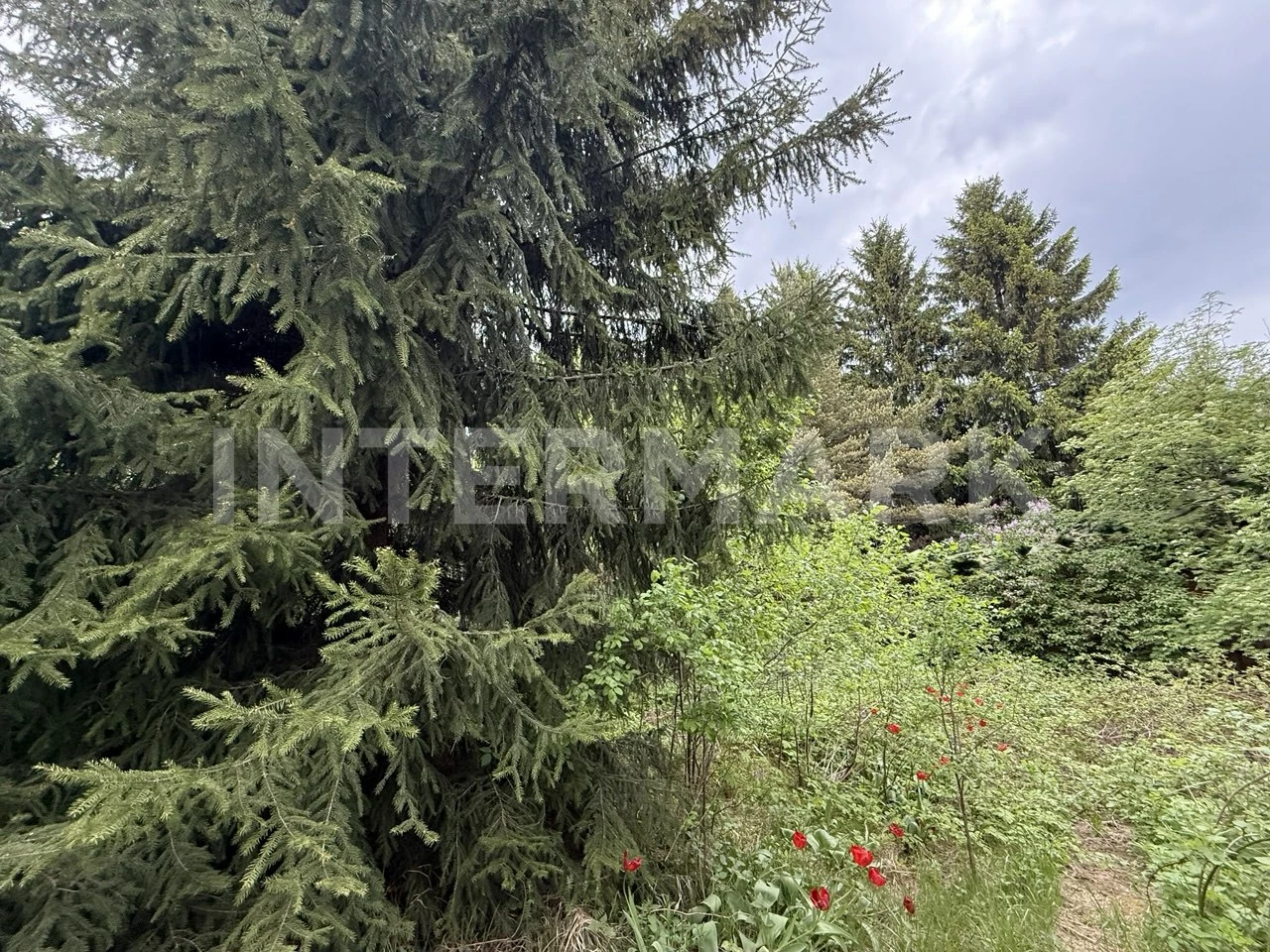  КП &quot;Немчиново&quot; Сколковское шоссе, 4 км, Фото 1