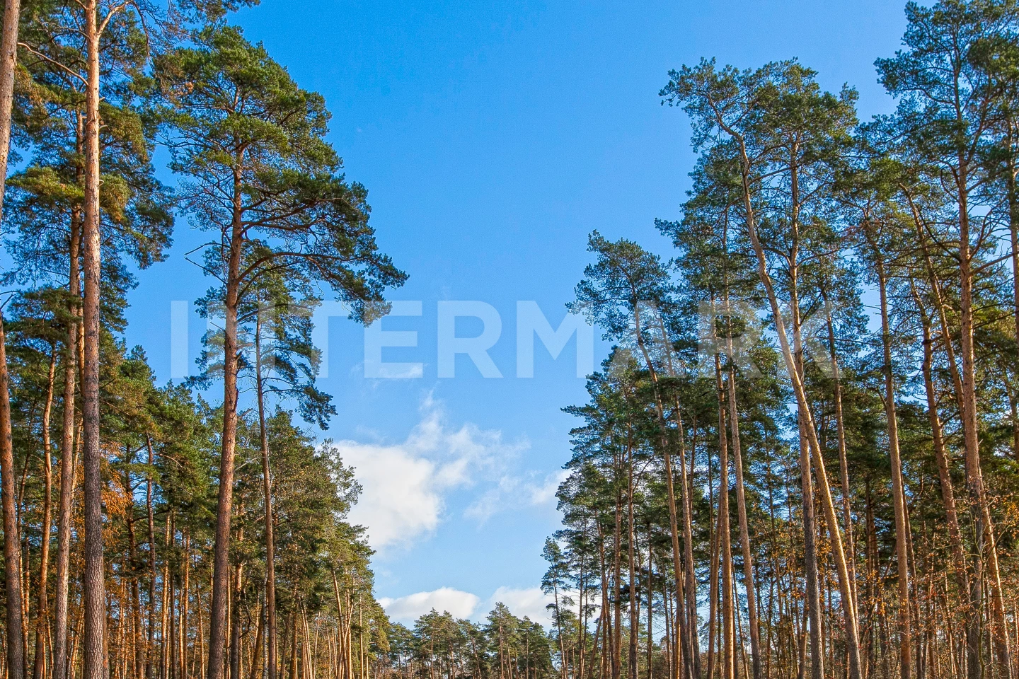   Novorizhskoe, 9 км, Photo 1