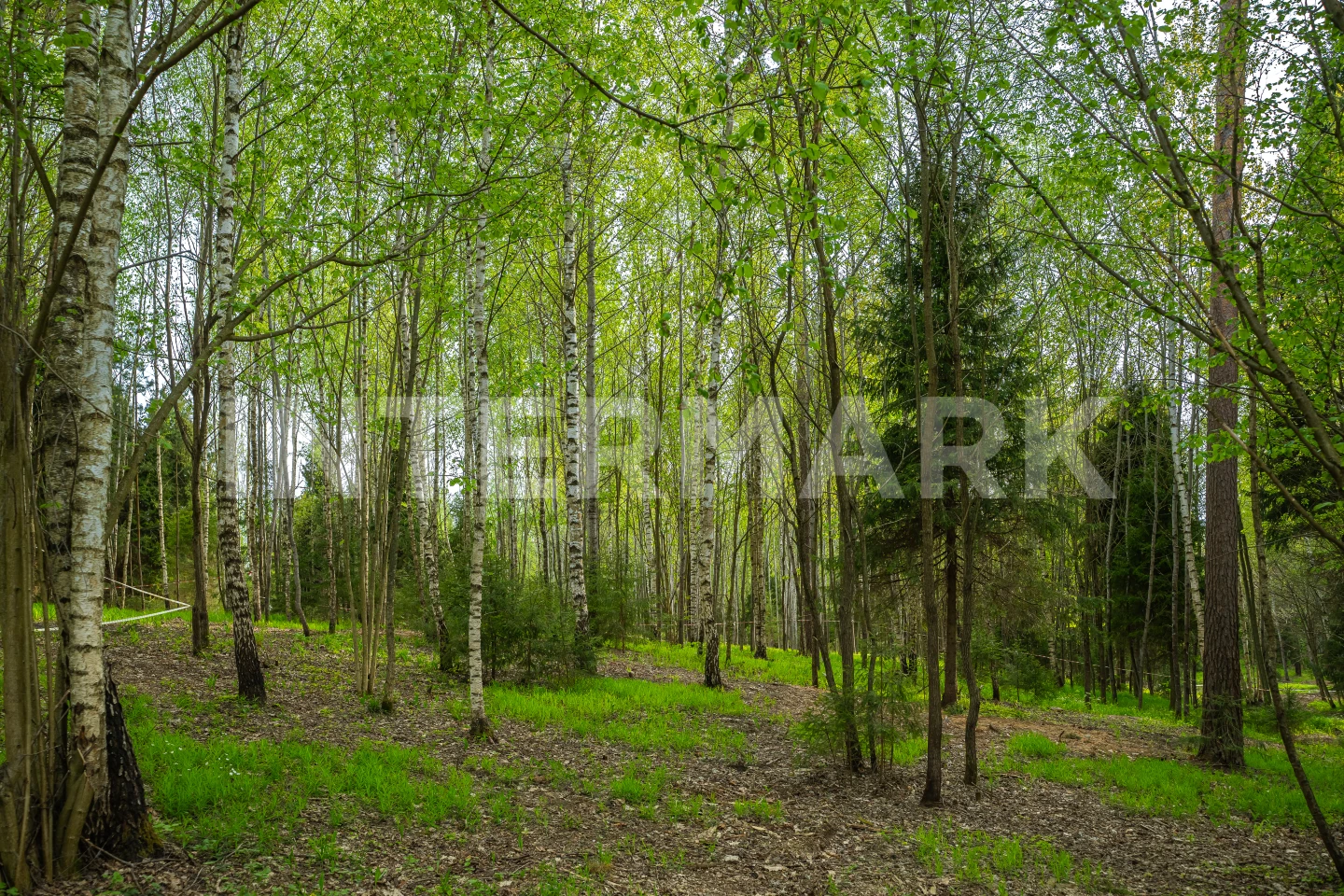  КП "LES Иславское" Рублево-Успенское шоссе, 25 км, Фото 1