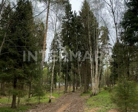  КП "LES Иславское" Рублево-Успенское шоссе, 25 км, Фото 1