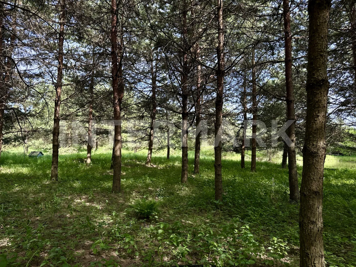   Leningradskoe, 27 км, Photo 1