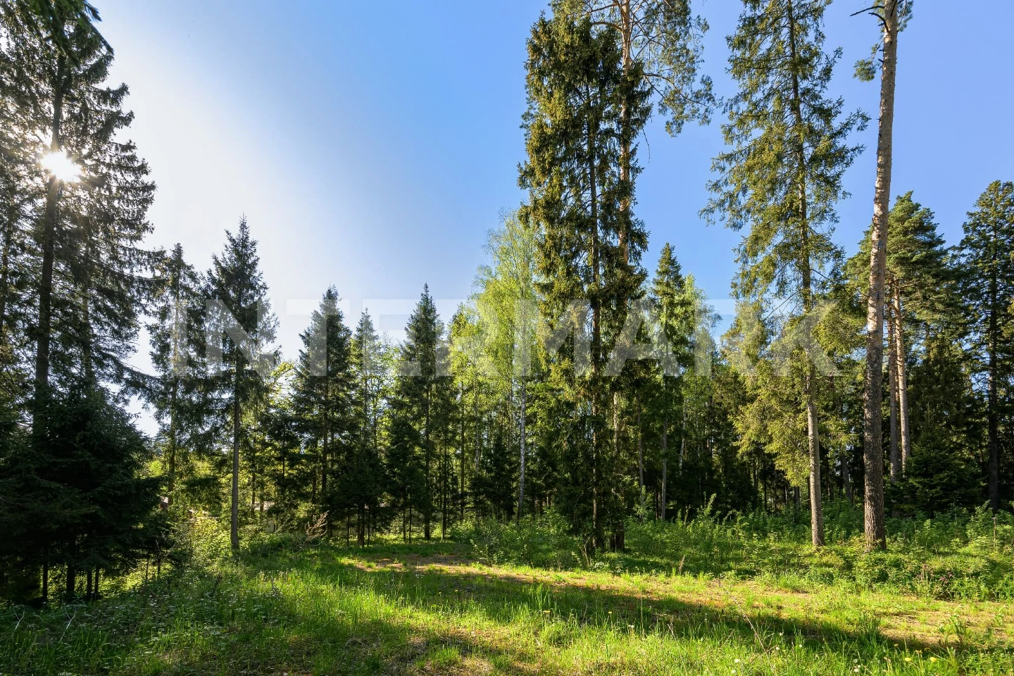  КП "Геодар" Рублево-Успенское шоссе, 28 км, Фото 1