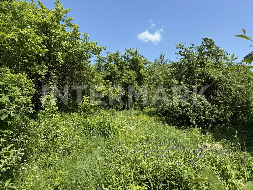  КП "Немчиново" Сколковское шоссе, 4 км, Фото 1