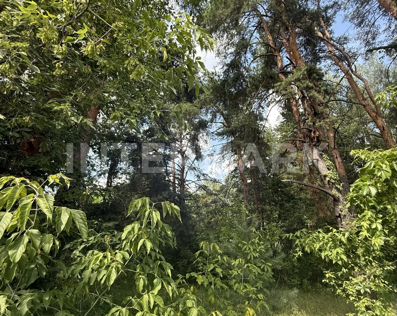  КП "Жуковка" Рублево-Успенское шоссе, 9 км, Фото 1