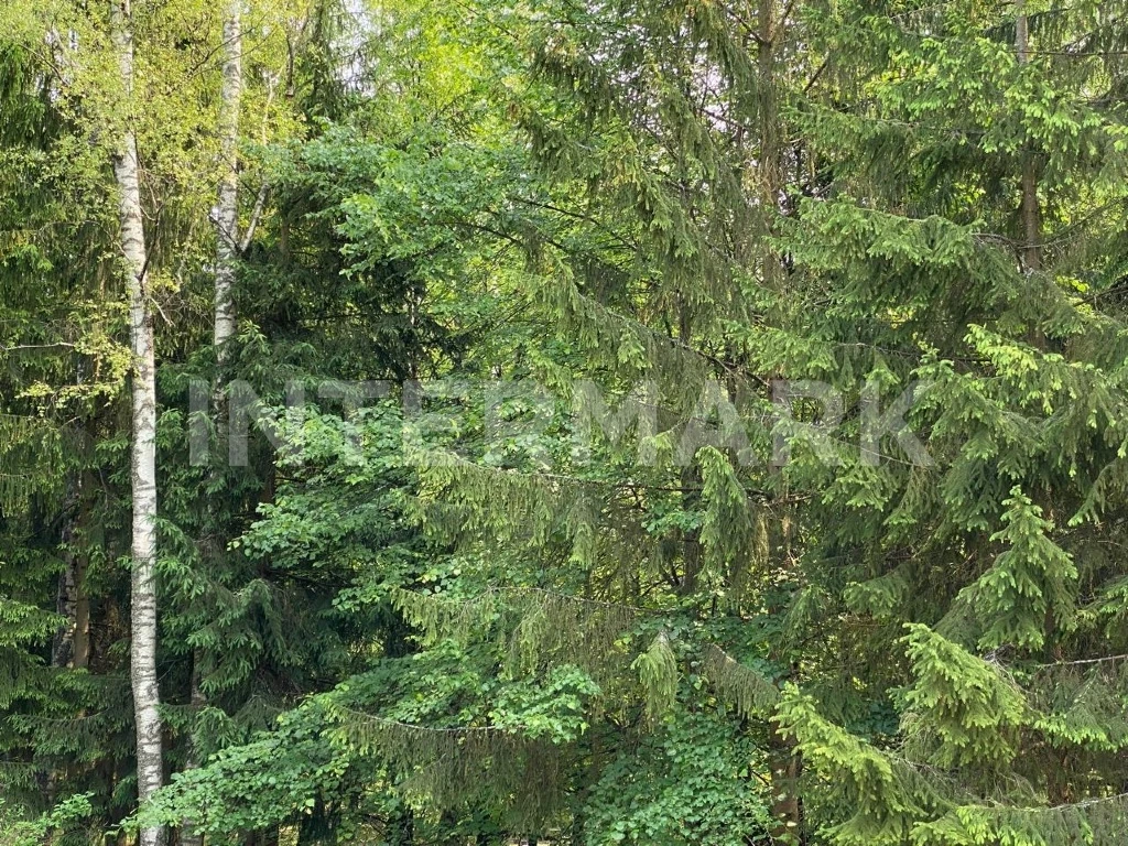   "Gorki-8" Rublevo-Uspenskoe, 15 км, Photo 1