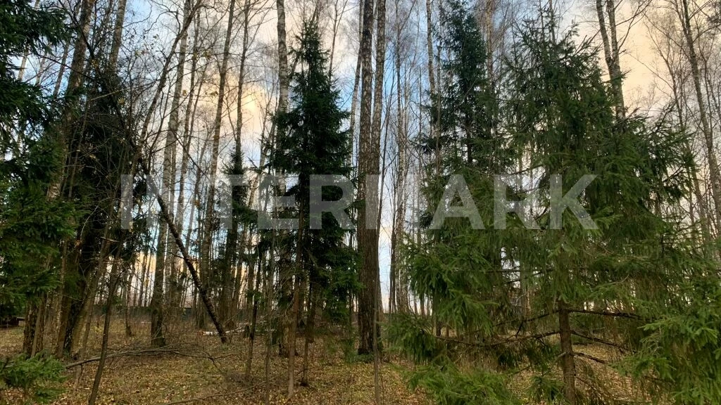  КП &quot;Лесные Зори&quot; Новорижское шоссе, 22 км, Фото 1