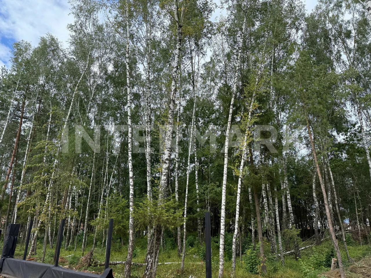  КП "Crystal Forest (Кристал Форест)" Новорижское шоссе, 15 км, Фото 1