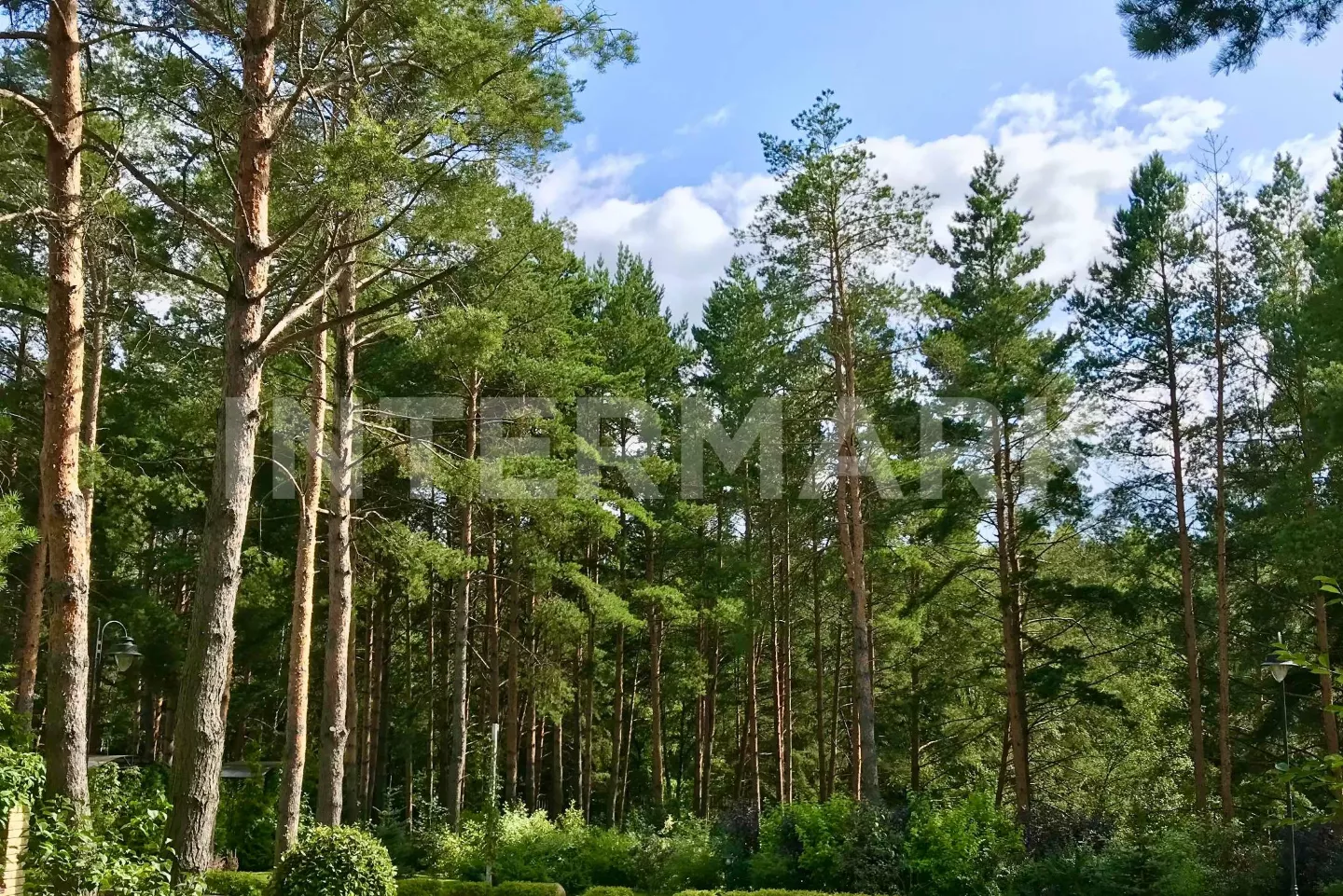   Novorizhskoe, 20 км, Photo 1