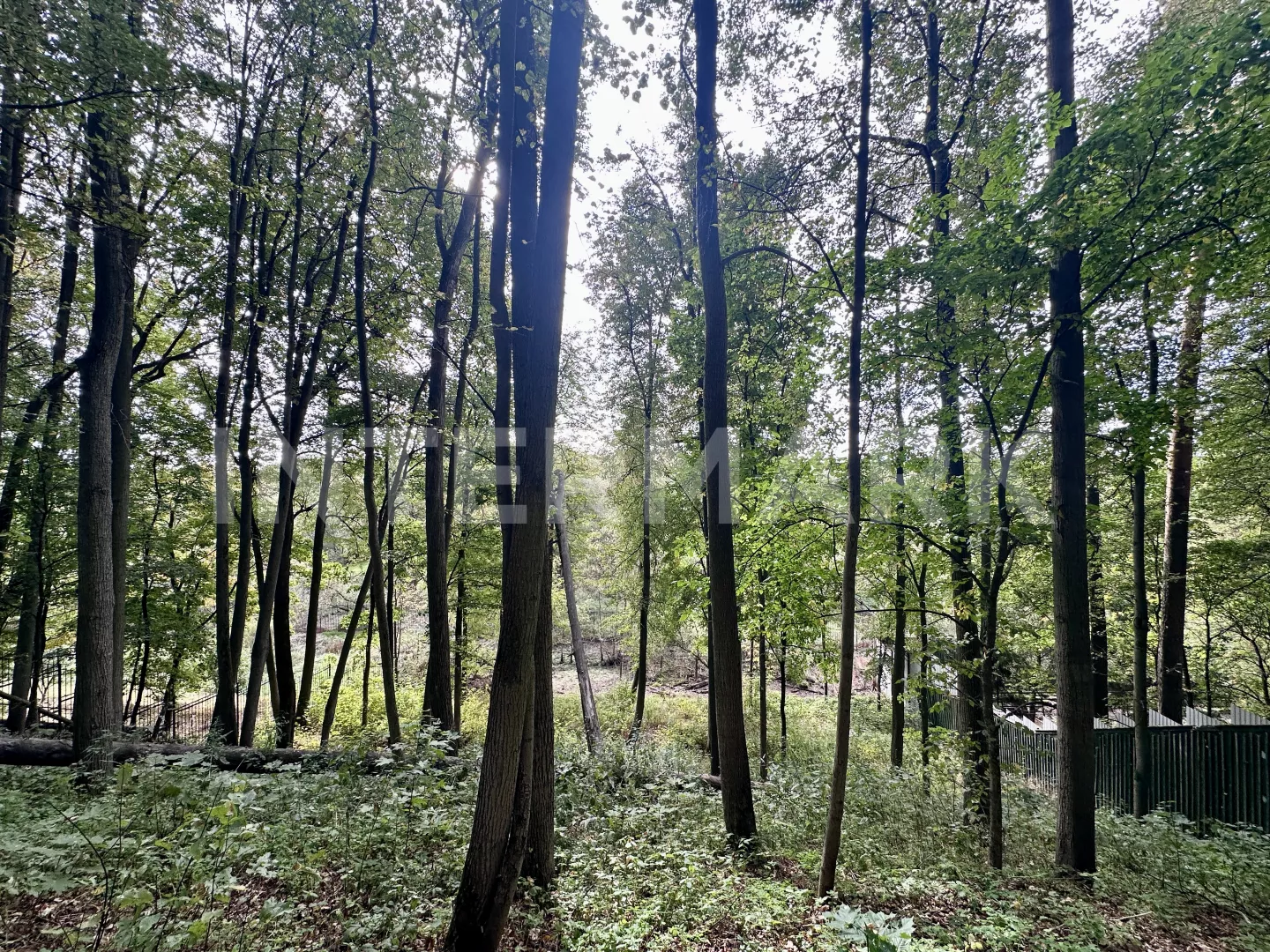   Ilinskoe, 14 км, Photo 1