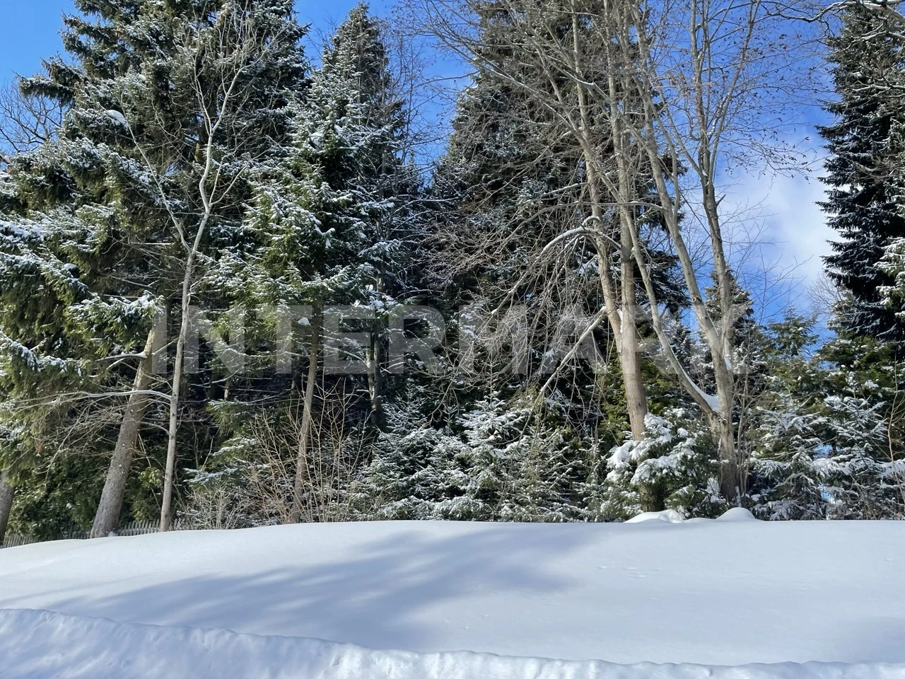  КП "Николино" Рублево-Успенское шоссе, 23 км, Фото 1