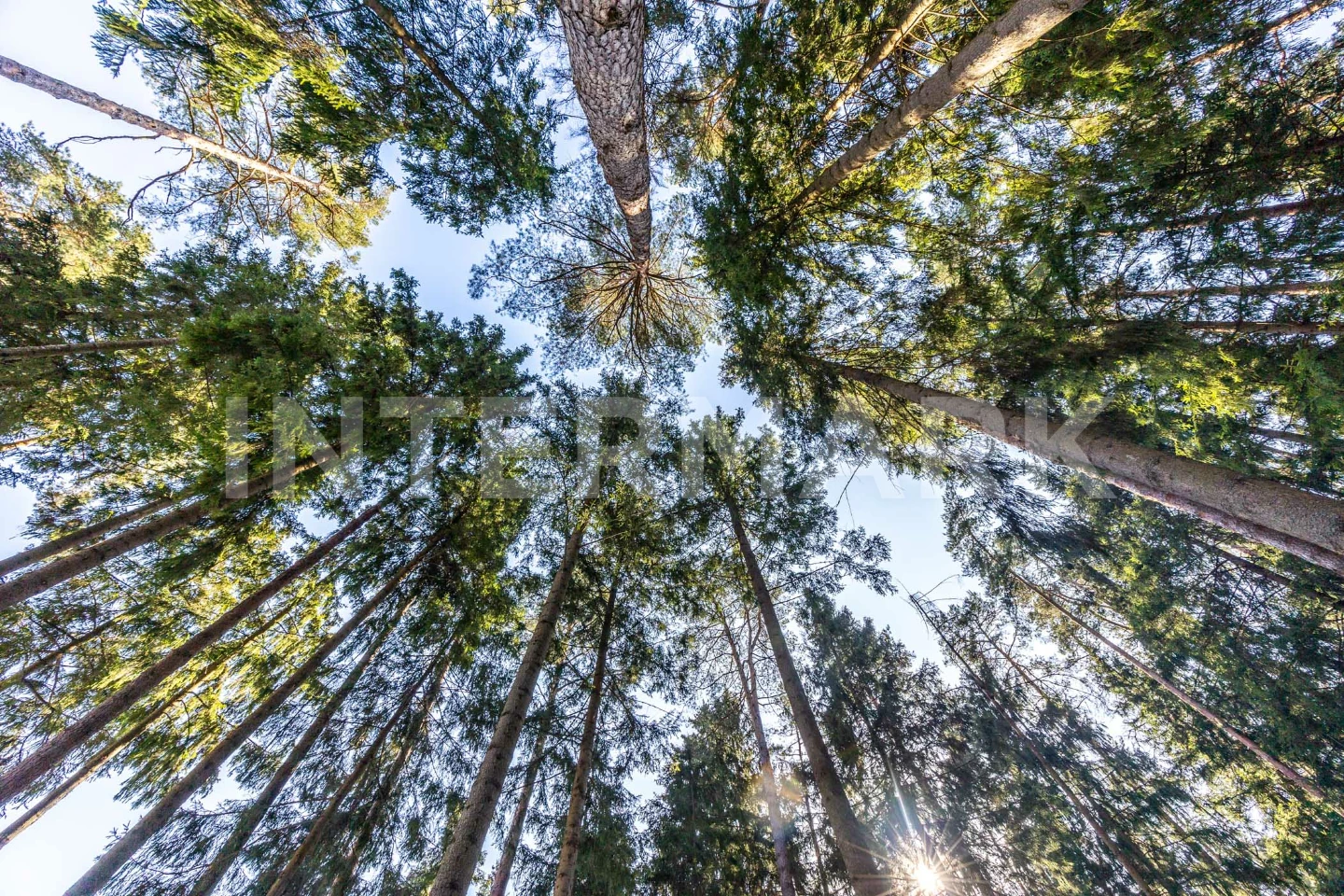  КП "Никологорское (Коттон Вей)" Рублево-Успенское шоссе, 25 км, Фото 1
