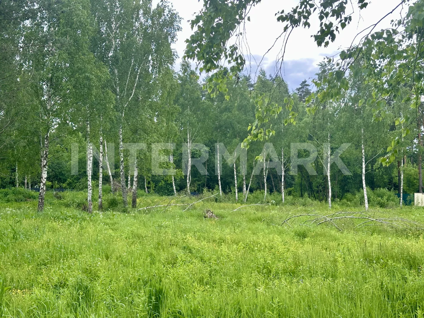   Ilinskoe, 16 км, Photo 1