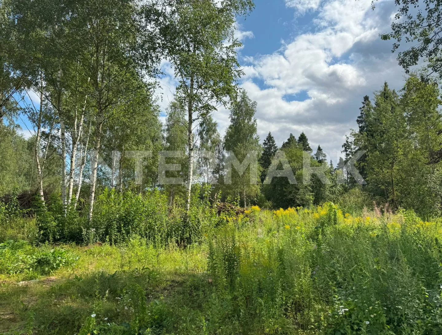   Ilinskoe, 16 км, Photo 1