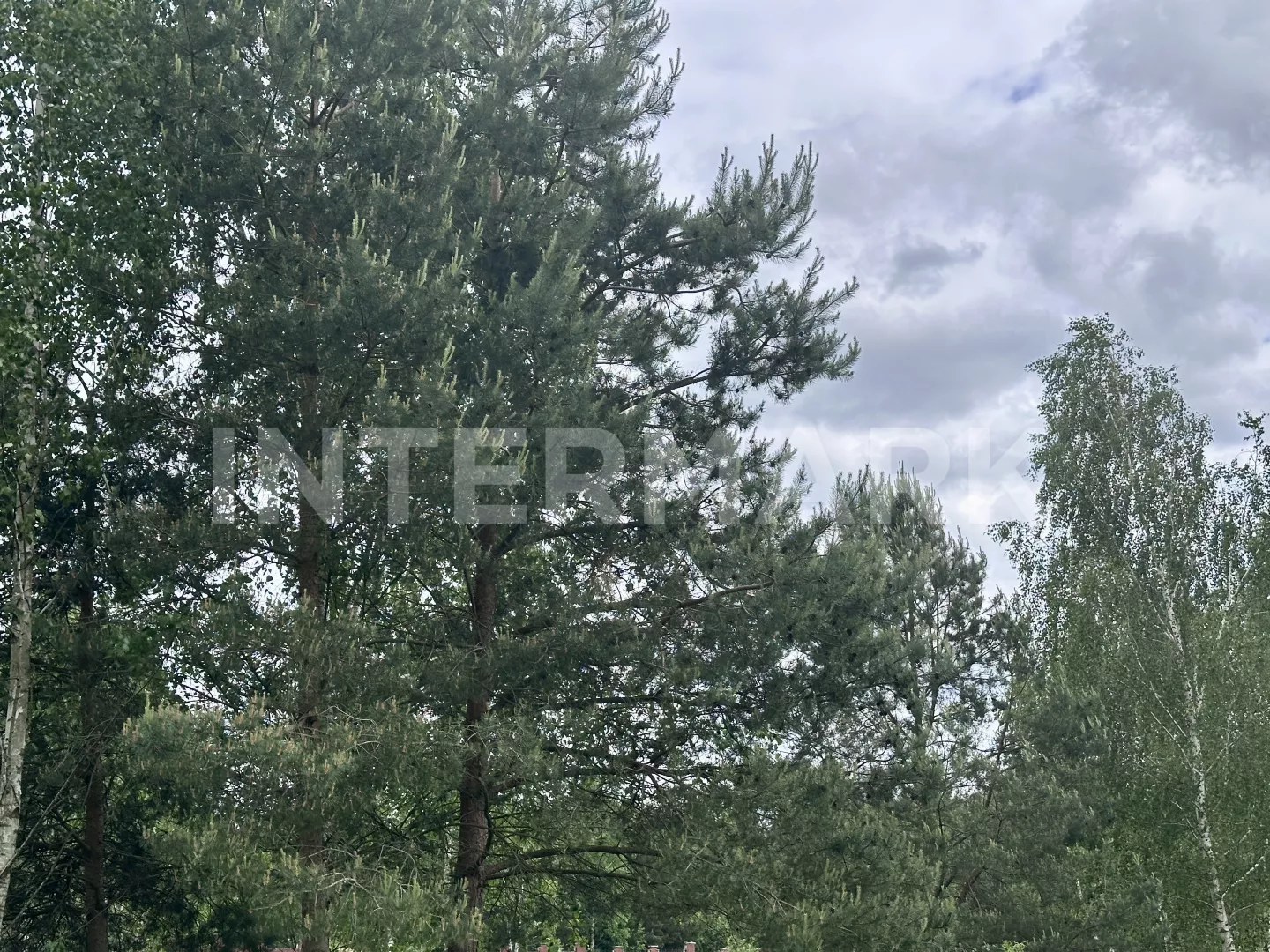   Ilinskoe, 16 км, Photo 1