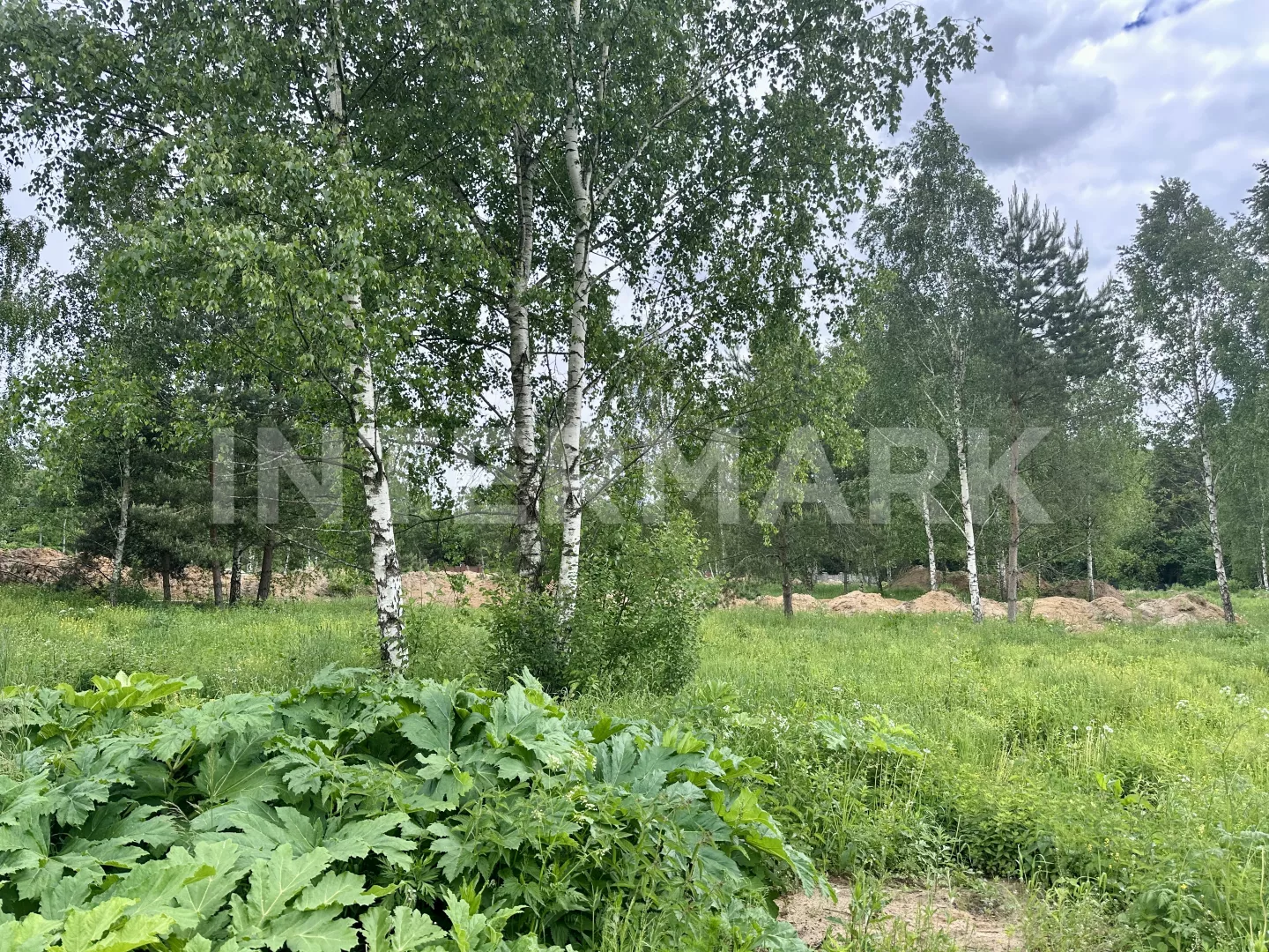   Ilinskoe, 16 км, Photo 1