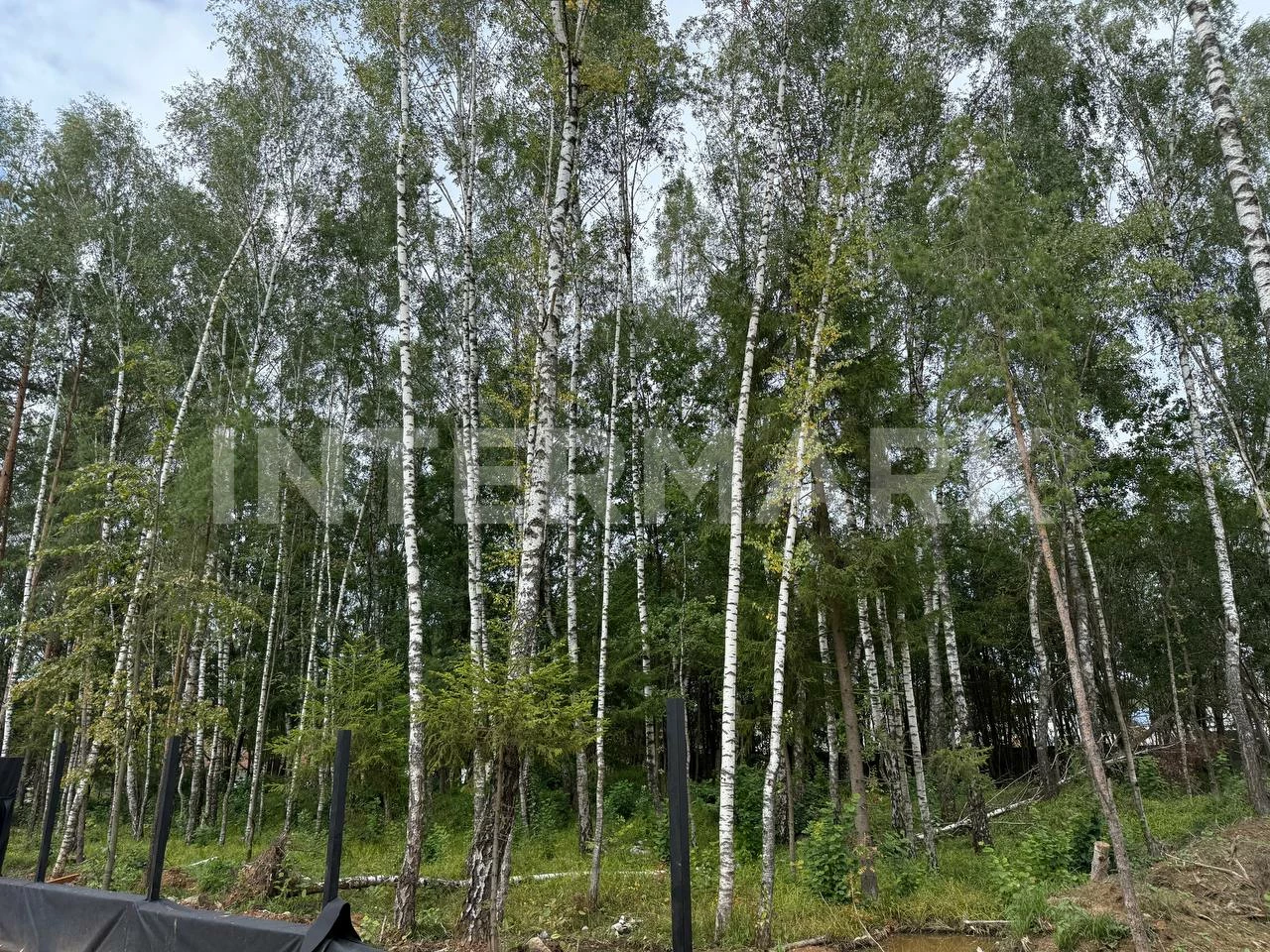 Settlement  Novorizhskoe, 15 км, Photo 1