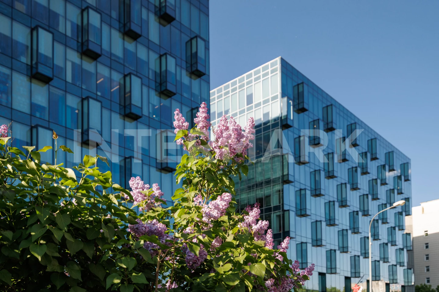 Rent   Leningradskoe shosse, 16A, Photo 1